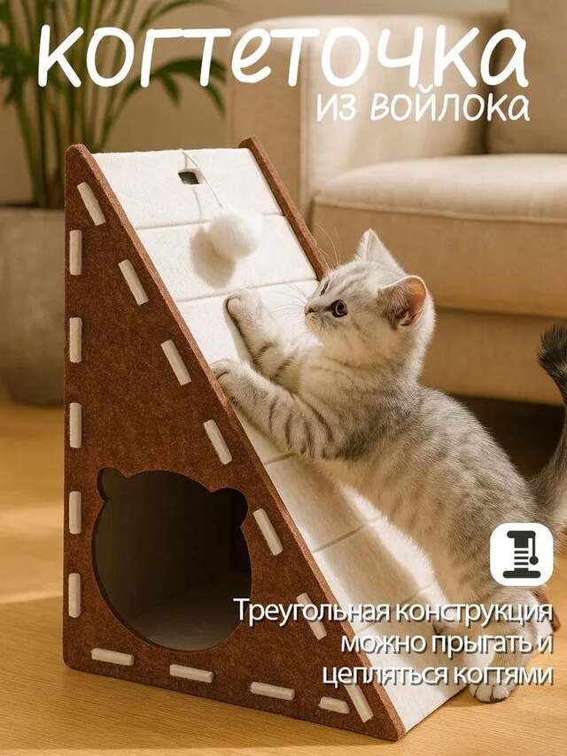 Котёнок
