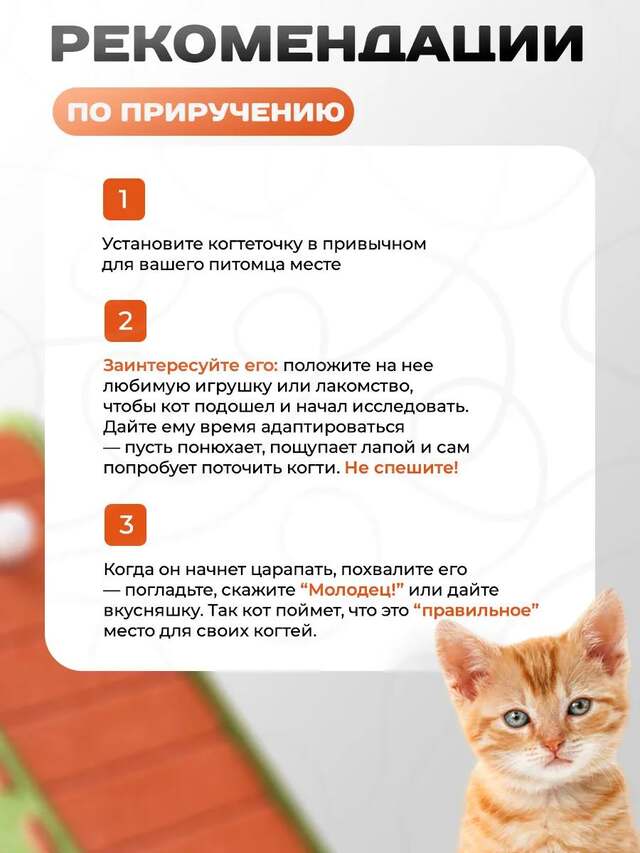 Размеры